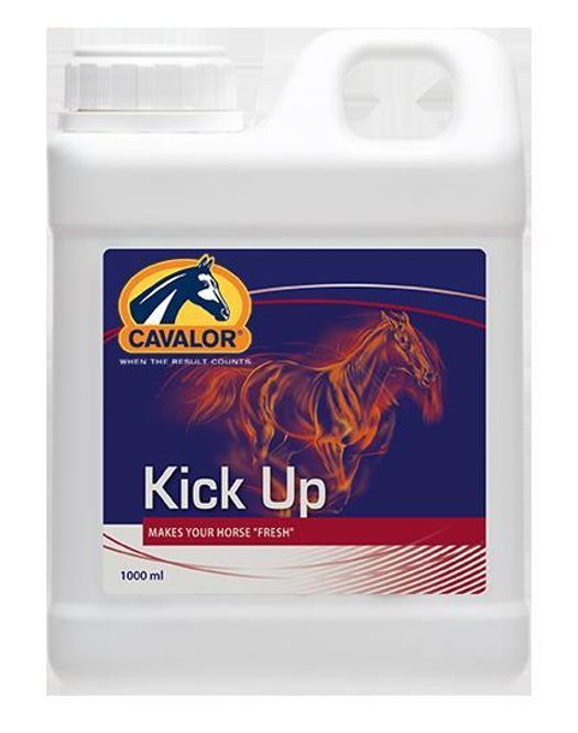 Hovedbilde Cavalor Kick Up 1 l
