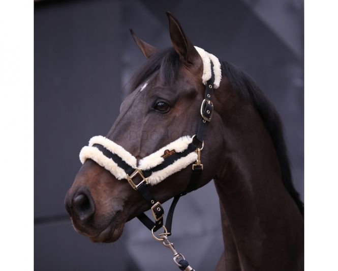 Hovedbilde Kentucky Nylon Sheepskin Halter