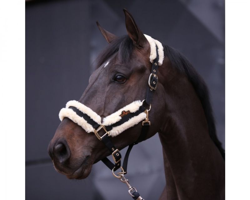 Kentucky Nylon Sheepskin Halter