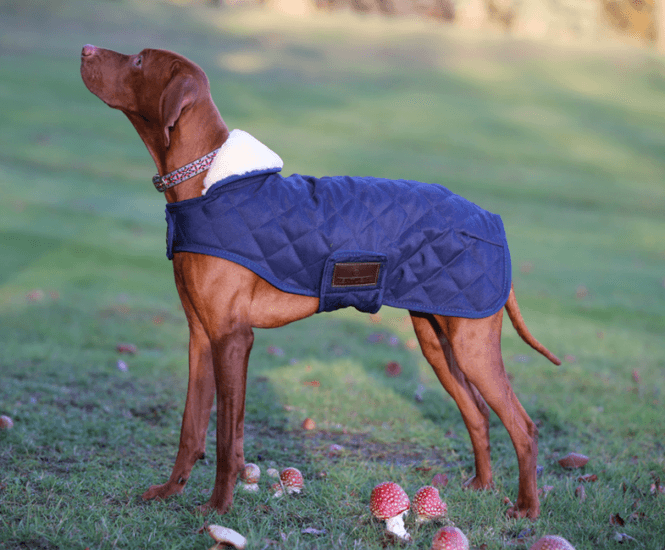 Hovedbilde Kentucky Dog Rug