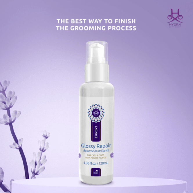 Hovedbilde Hydra Expert Glossy Repair