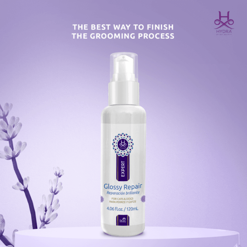 Hydra Expert Glossy Repair