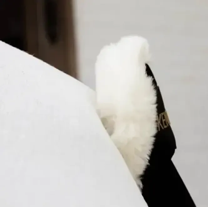 Hovedbilde Kentucky Sheepskin Tailguard