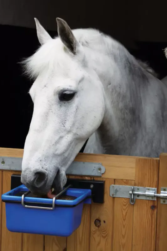 Horslyx Holder 5 kg